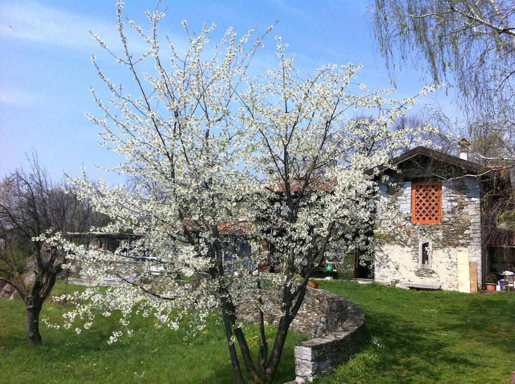 Il Ciliegio Selvatico Apartment Verbania Exterior foto