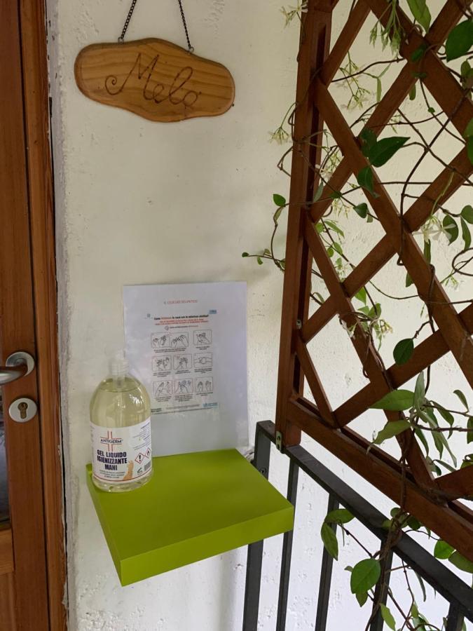 Il Ciliegio Selvatico Apartment Verbania Exterior foto